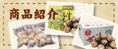 商品紹介
