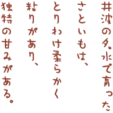 井波の名水で育ったさといもは、とりわけ柔らかく粘りがあち、独特の甘みがある