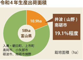生産出荷量